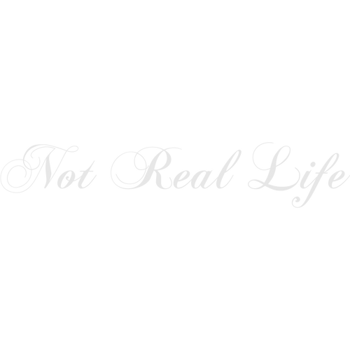 Not Real Life Not Real Life